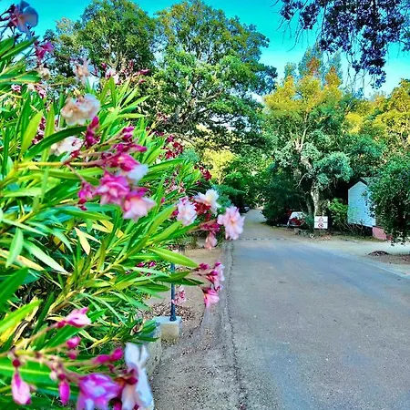 Camping Les Ilots D'or Porto-Vecchio (Corsica)