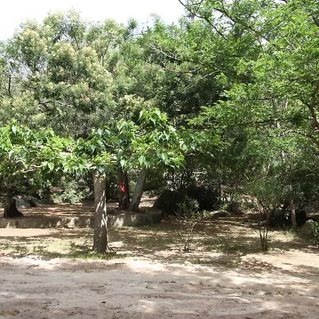 Les Ilots D'or Camping Porto-Vecchio (Corsica)