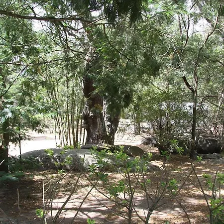 Les Ilots D'or Porto-Vecchio (Corsica)