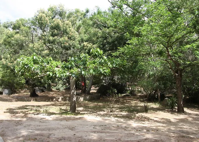 Les Ilots D'or 营地 维琪奥港