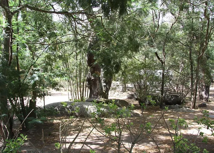 Les Ilots D'or 维琪奥港